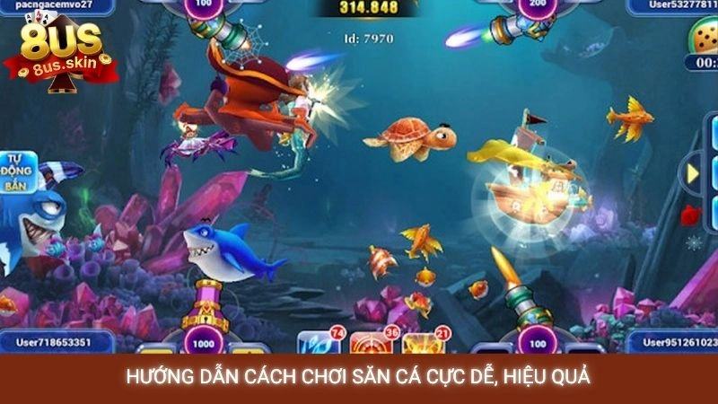 Hướng dẫn cách chơi săn cá cực dễ, hiệu quả