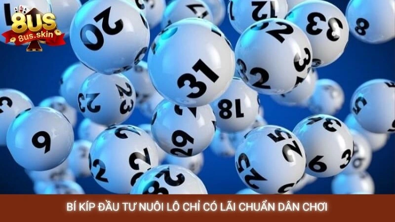 Bí kíp đầu tư nuôi lô chỉ có lãi chuẩn dân chơi
