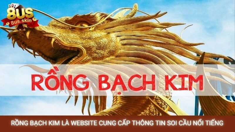Rồng Bạch Kim là website cung cấp thông tin soi cầu nổi tiếng
