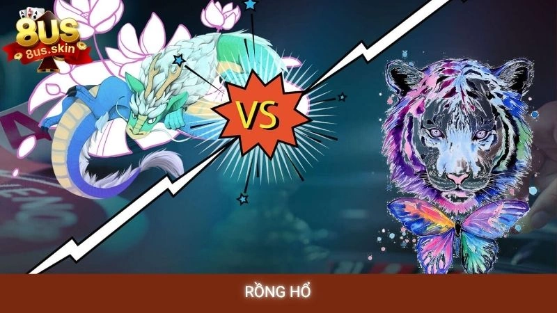 Rồng hổ 8us